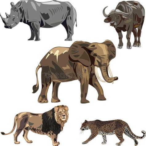 Africa S Five Wild Beasts Stock Vector Illustration Of Gray 16261360
