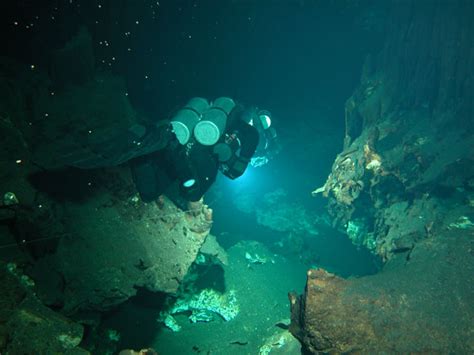 Ox Bel Ha The Charismatic Mexican Giant Global Underwater Explorers