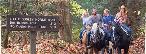 The Smoky Mountain Hiking Blog Your Ultimate Guide To Horseback Riding