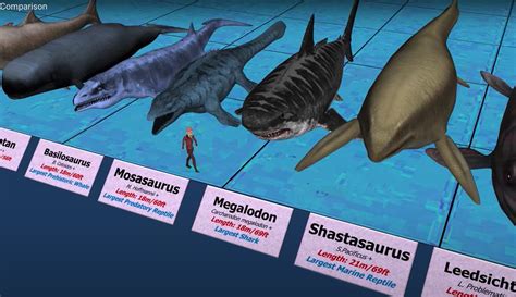 Just How Big Were Those Ancient Sea Creatures Bare Sports