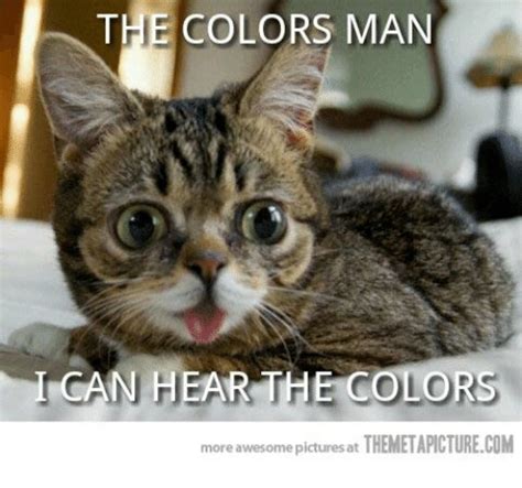 The Colors Man Can Hear The Colors More Awesome Pictures At Themetapicturecom Meme On Me Me