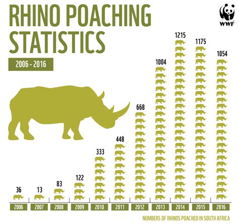 Latest Official Poaching Figures Show That South Africa Is Still Losing