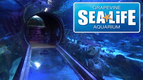 Sea Life Grapevine Texas Aquarium Tour And Review With The
