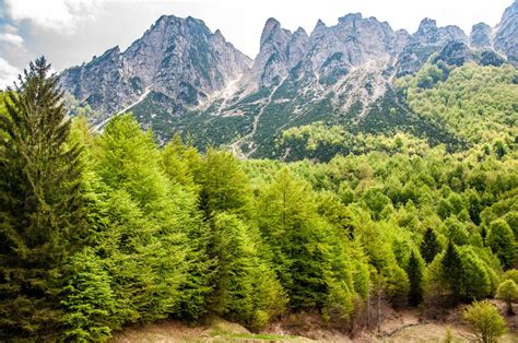 A View Of Lush Forests And Rocky Peaks In The Little Dolomites