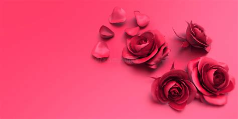 Valentines Day Love Roses And Petals On Pink Background Stock Photo