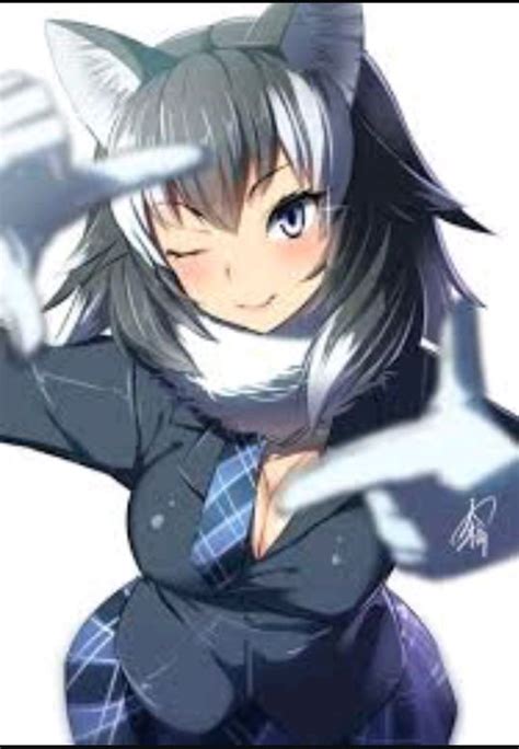 Grey Wolf Wiki Neko Anime Amino Amino