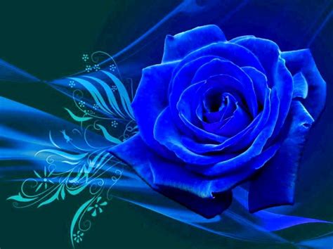 Download Blue Rose Wallpaper Hd By Morganw51 Blue Rose Wallpapers