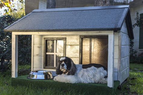 The Best Outdoor Dog Houses Totally Goldens