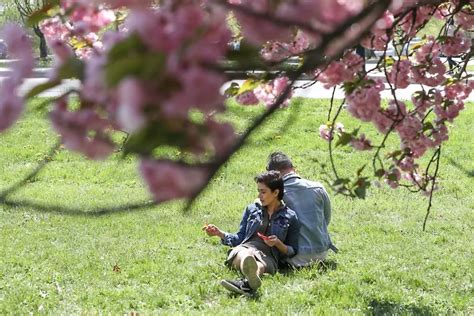 Philadelphia Pollen Counts High From Grass And Tree Combo Weather
