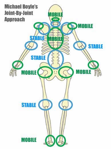 The Joint By Joint Theory Lori Ryan Aep Vision Health