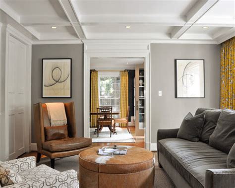 Brown Couch Gray Walls Houzz