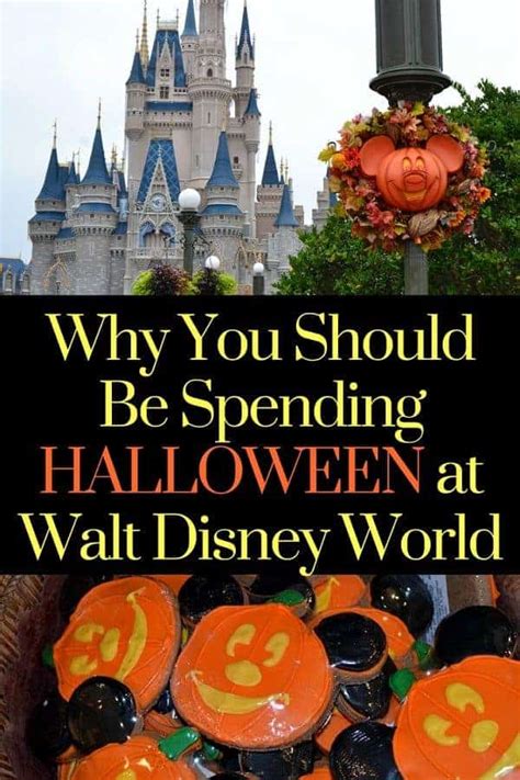 Disney World Halloween Experiences Disney Insider Tips