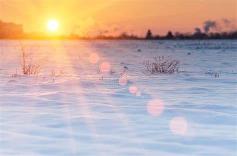 Beautiful Sunrise In The Winter Stock Image Image Of Field Evening
