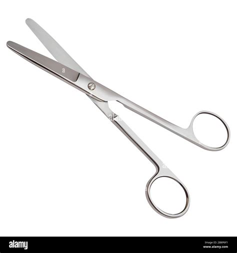 Blunt Dissection Cut Out Stock Images And Pictures Alamy