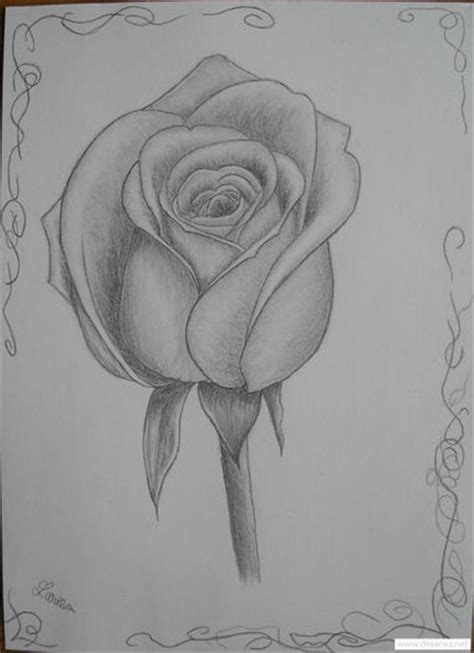 22.07.2017 · desen in creion cu trandafiri daniel. Mobila pentru bucataria: Desene cu flori in creion