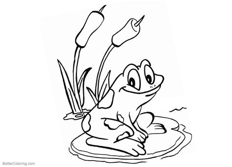 Book Pictures Of Pond Coloring Pages