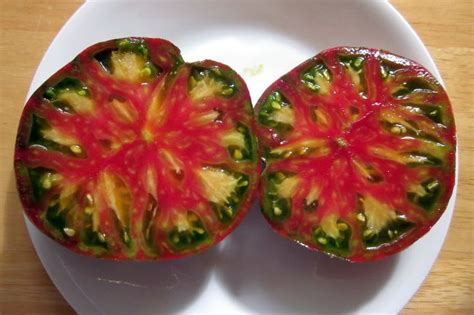 44 Best Top Picks For The Best Tasting Tomato Varieties