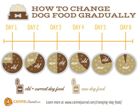 A switch to a different dog food stops distressing symptoms. What is the Raw Dog Food Diet? Benefits, Risks, and Key ...