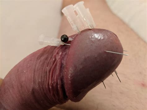 Needle Penis Torture Alta California