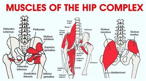 Hip Pain Diagnosis Chart