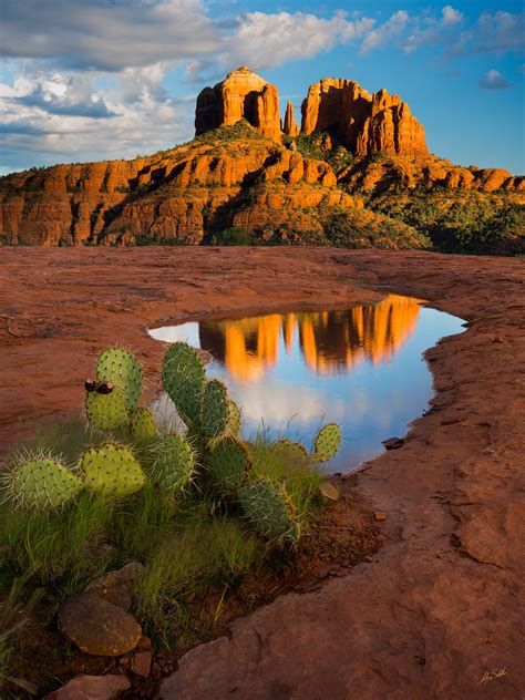 Cathedral Rock And Cactus Sedona Arizona Fine Art Landscape
