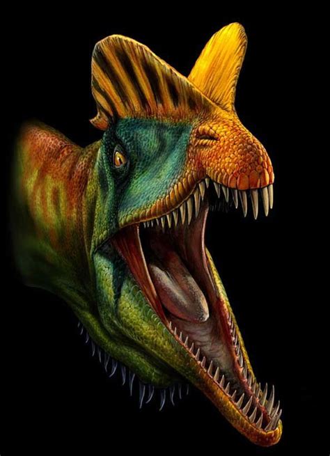 Paleoillustration Dilophosaurus Wetherilli By Davide Bonadonna