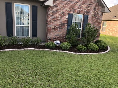 Maybe you would like to learn more about one of these? Dark brown mulch, looks great with light bricks and rocks ...
