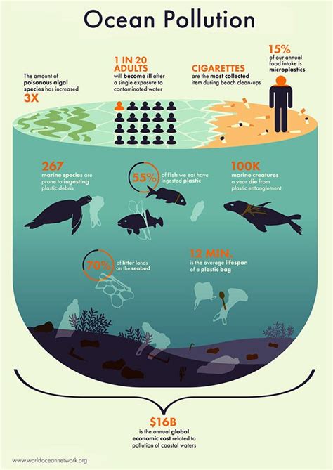 From Land To Sea The Effects Of Ocean Pollution Infographic Examples