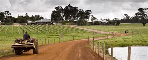 Margaret River Wineries 8 Of The Best Wineries