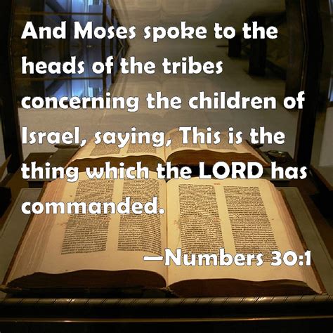 Numbers 301 And Moses Spoke To The Heads Of The Tribes Concerning The