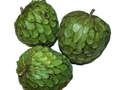 Cherimoya, daha önce de belirtildiği gibi, etkileyici bir askorbik asit konsantrasyonu içeriyor. DIY Face Home Remedy: Cherimoya Custard Moisturizing ...