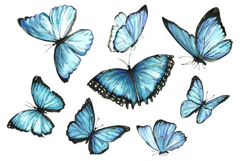 A Group Of Blue Butterflies Flying Together In The Sky With One Large