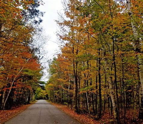 In Between Fall Colors And Autumn Foliage In Door County Wi