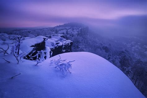 Landscape Nature Photography Mist Winter Snow