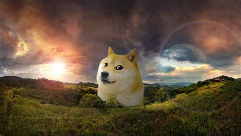 76 Doge Meme Wallpapers On Wallpaperplay Japanese Dogs Doge Meme Doge