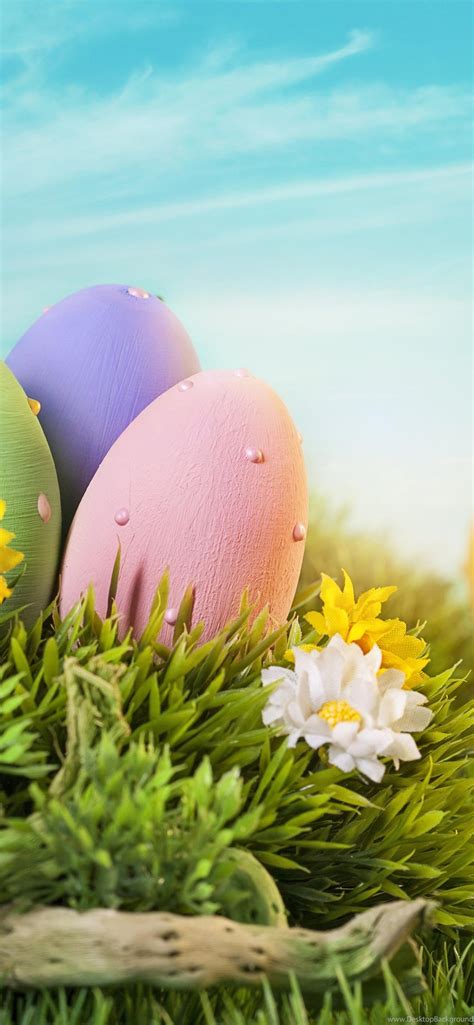 Cập nhật nhiều hơn 95 hình nền easter không thể bỏ qua - POPPY