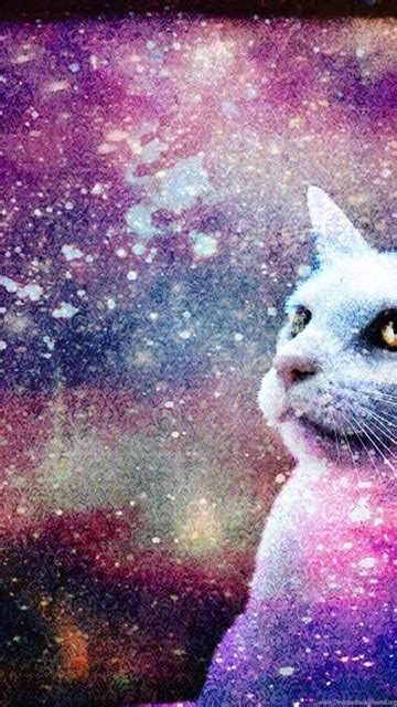Galaxy Cat Hd Wallpapers Desktop Background