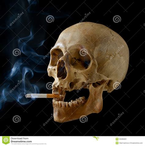 Skull With A Cigarette Stock Photo Image 39485820