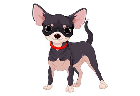 Cute Chihuahua Dog Clip Art Pictures Of Dogs