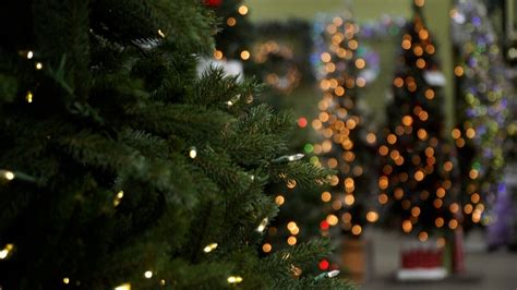 Video How Much Will It Cost You To Light Up Your Christmas Tree