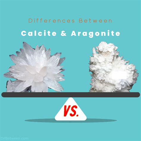Calcite Vs Aragonite Geological Differences