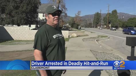 Driver Arrested In Deadly Hit And Run Youtube