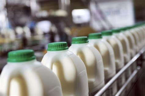 Dairy Sector Working To ‘keep The Milk Moving Gubba