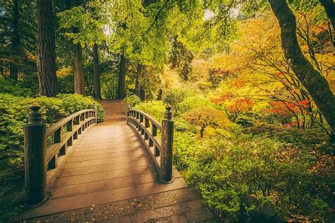 秋、 木々、 公園、 オレゴン、 ポートランド、 橋、 日本庭園、 ポートランド日本庭園、 Hdデスクトップの壁紙 Wallpaperbetter