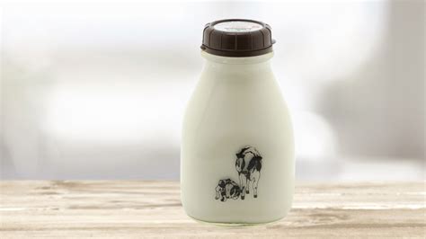 Get a glimpse of this keto coffee beverage with a hazelnut flavor and a rich, subtle sweetness to give you a balanced taste. Hazelnut Coffee Creamer - Longmont Dairy