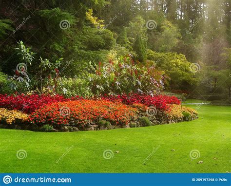 Flower Bed With Red Orange And Yellow Flowers Stock Photo Image Of