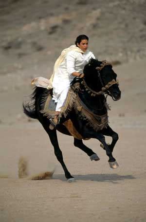 The black stallion is that rare contemporary family film that will fascinate adults as much as their kids, if not more so. The Black Stallion