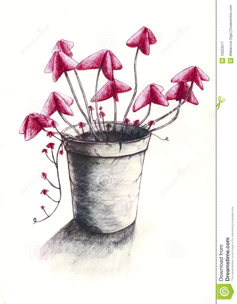 All the best leaf drawings in pencil 35+ collected on this page. Flower Pot 2 Royalty Free Stock Photography - Image: 10023577