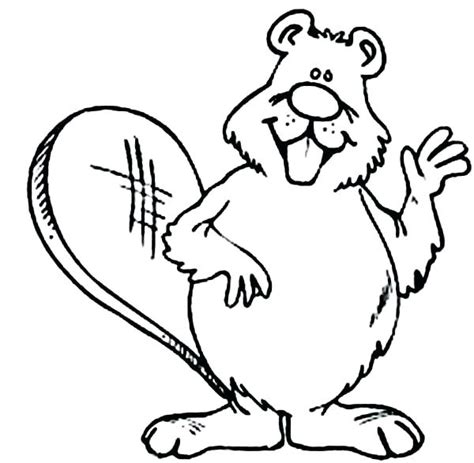 Ready the printer and click on the drawing of beavers you prefer to enlarge the image. Canadian Beaver Drawing | Free download on ClipArtMag