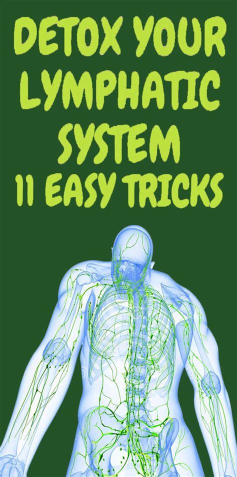 Natural Lymphatic System Detox Remedies To Help Your Body Detox